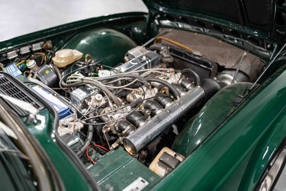 Triumph TR6