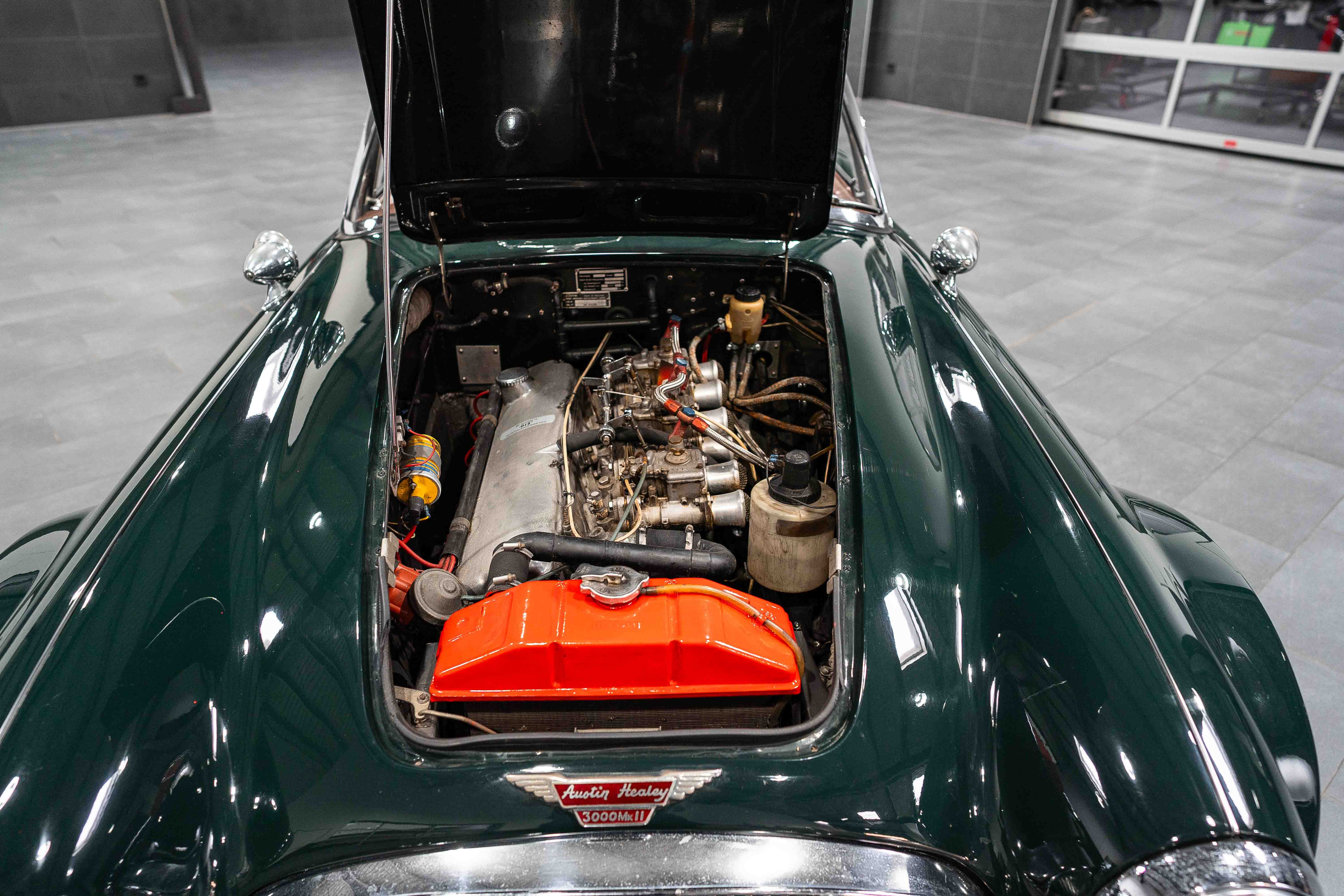 Austin Healey 3000 MK3 Stefan Sautter Umbau