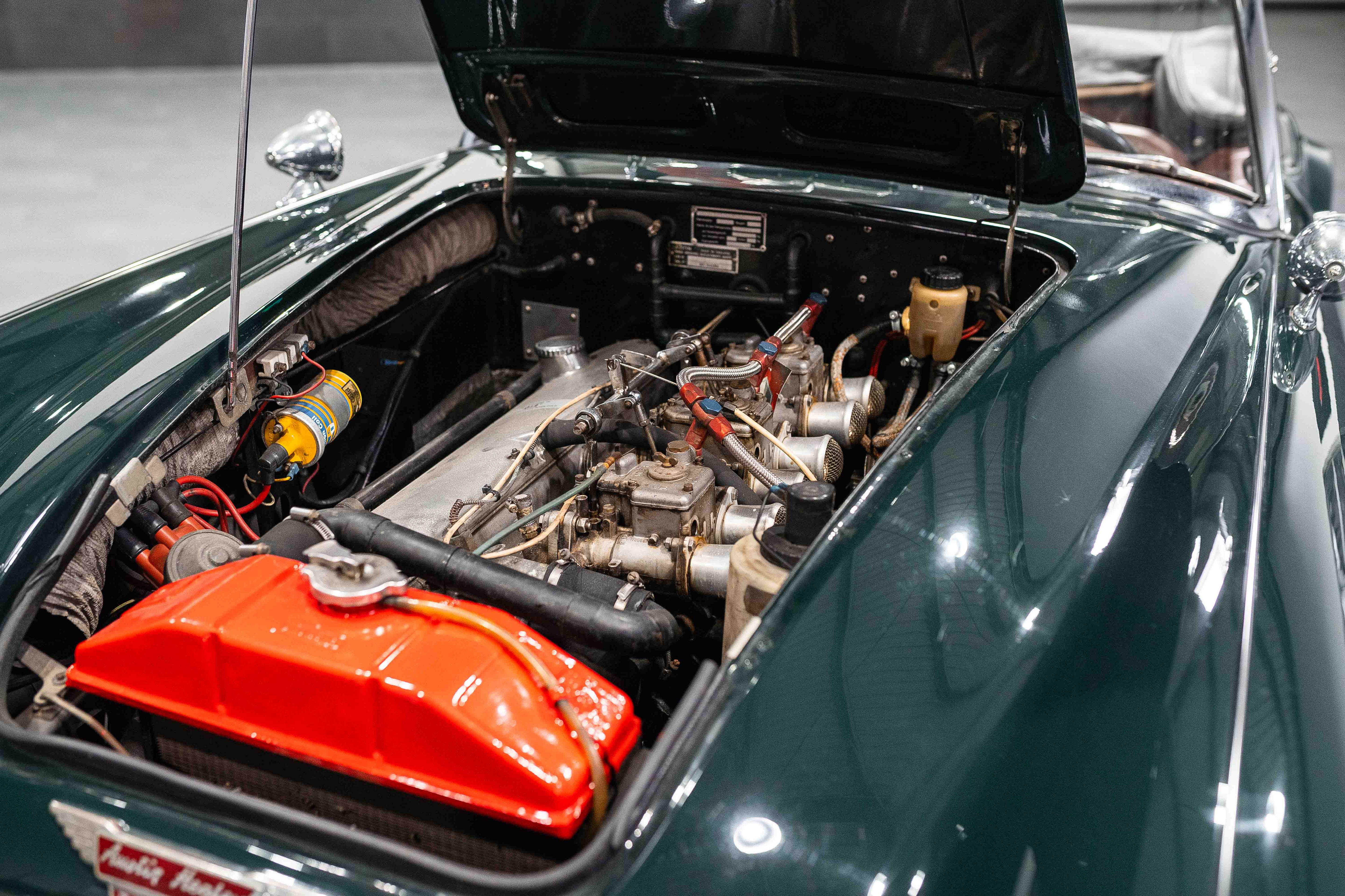 Austin Healey 3000 MK3 Stefan Sautter Umbau