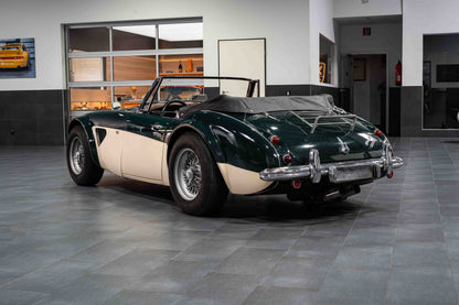 Austin Healey 3000 MK3 Stefan Sautter Umbau